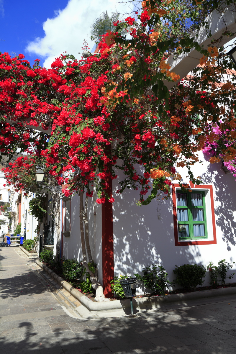 10.29 Gran Canaria  MG 1570